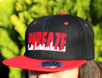 PFC Phreaze City 2 Tone Snap Back
