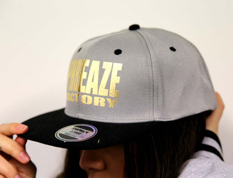 Grey/Black Metallic 2-Tone Cap
