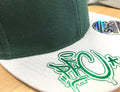 PFC Drip Metallic Green 2-Tone Snapback